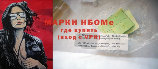 прущие грибы Алзамай