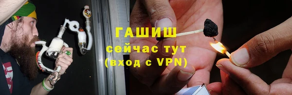 прущие грибы Алзамай