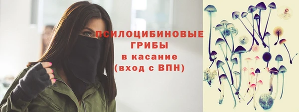 прущие грибы Алзамай