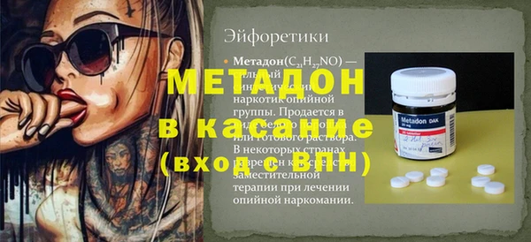 прущие грибы Алзамай