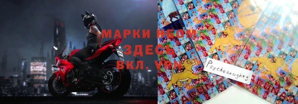 прущие грибы Алзамай