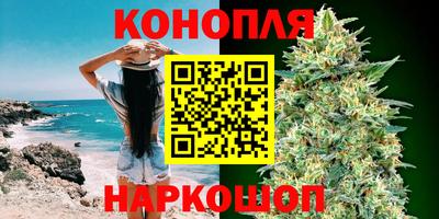 стафф Краснодар
