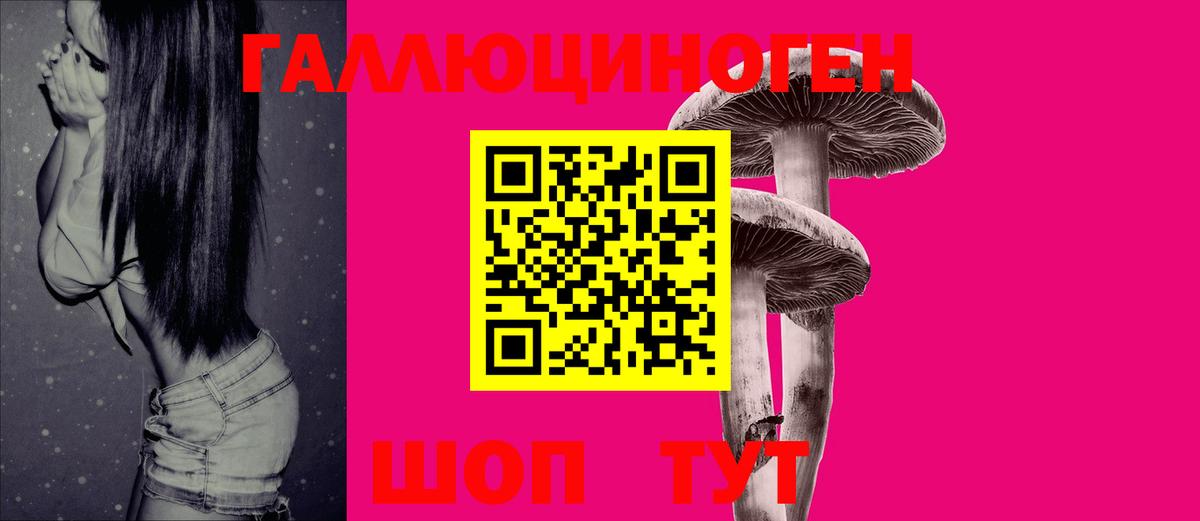где продают   Галлюциногенные грибы мицелий  Вход с VPN  Ковров 